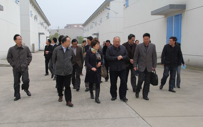 ʡ�˴�ί����(sh��)ӛ��μɽ�W�R��?gu��)셢�^ָ��(d��o)